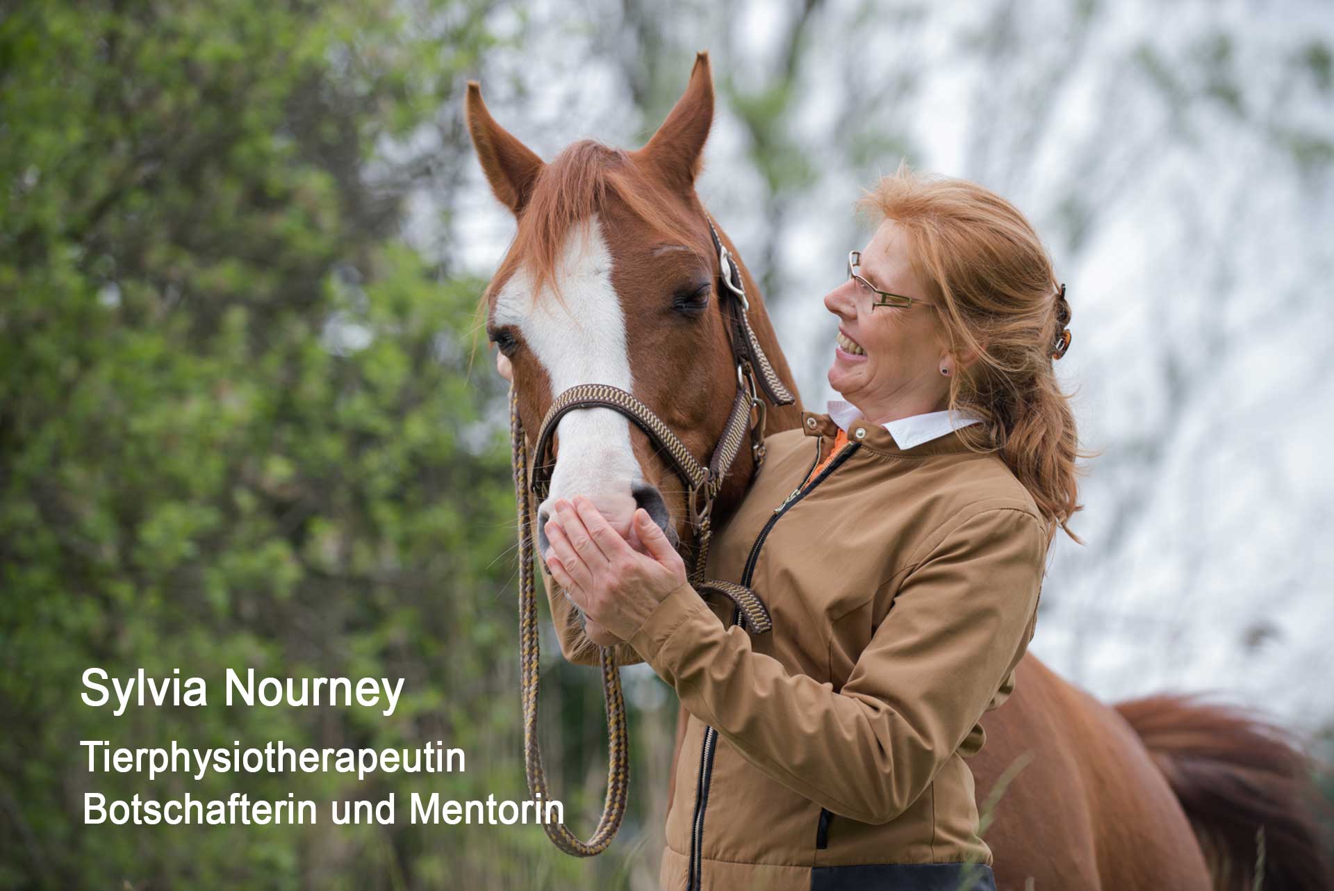 Pferd-Mensch-Begegnungen - Sylvia Nourney